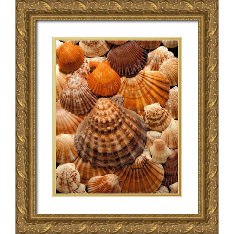 Pectins Gold Ornate Wood Framed Art Print with Double Matting by Reynolds, Richard