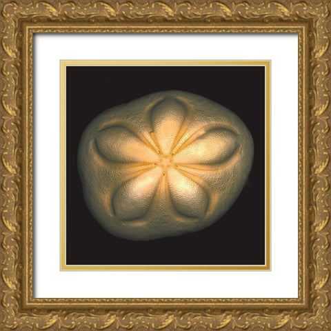 Sea Biscuit Gold Ornate Wood Framed Art Print with Double Matting by Reynolds, Richard