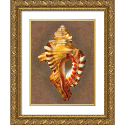 Perrys Triton Gold Ornate Wood Framed Art Print with Double Matting by Reynolds, Richard