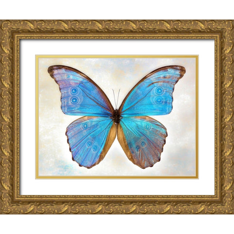 GodartS Morpho Gold Ornate Wood Framed Art Print with Double Matting by Reynolds, Richard