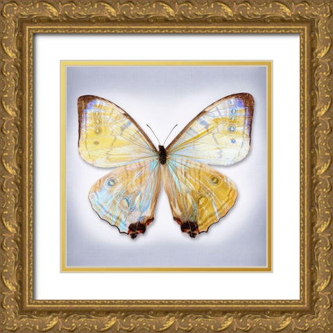 Sulkowski Blue Gold Ornate Wood Framed Art Print with Double Matting by Reynolds, Richard