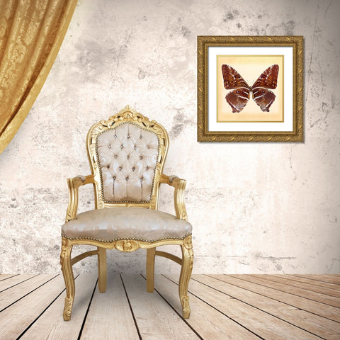 Deidamus Morpho Underside Gold Ornate Wood Framed Art Print with Double Matting by Reynolds, Richard