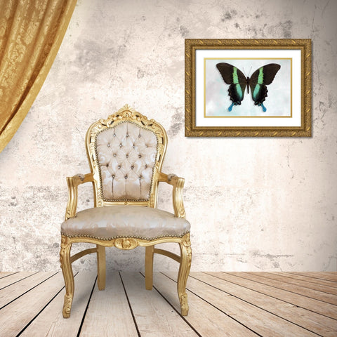 Green Swallowtail Gold Ornate Wood Framed Art Print with Double Matting by Reynolds, Richard