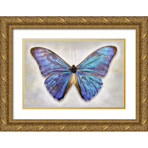 Aurora Morpho Gold Ornate Wood Framed Art Print with Double Matting by Reynolds, Richard