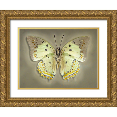 Jewelled Nawab Gold Ornate Wood Framed Art Print with Double Matting by Reynolds, Richard