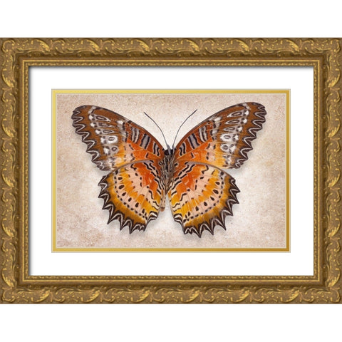Red Laceing Gold Ornate Wood Framed Art Print with Double Matting by Reynolds, Richard