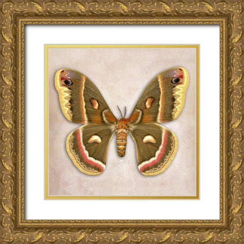 Cecropia Moth Gold Ornate Wood Framed Art Print with Double Matting by Reynolds, Richard
