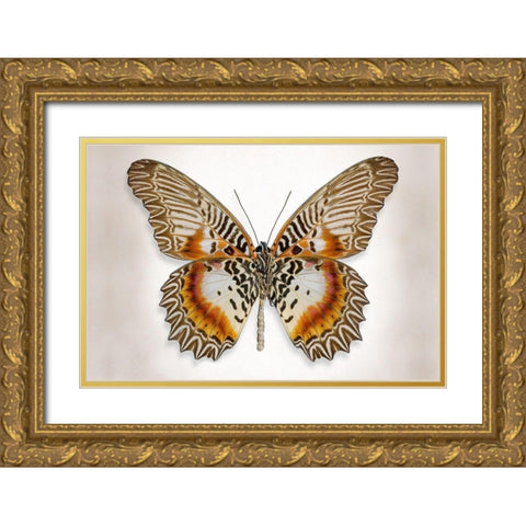 Brown Accented Butterfly Gold Ornate Wood Framed Art Print with Double Matting by Reynolds, Richard