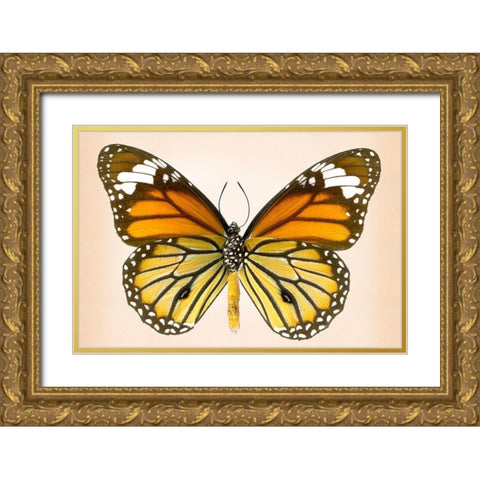 Tiger Common Gold Ornate Wood Framed Art Print with Double Matting by Reynolds, Richard