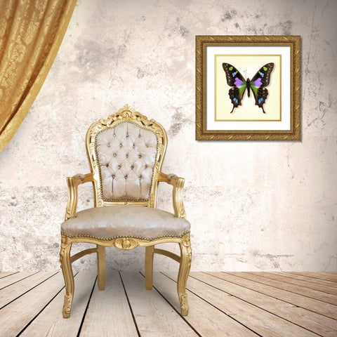 Purple Spotted Swallowtail Gold Ornate Wood Framed Art Print with Double Matting by Reynolds, Richard