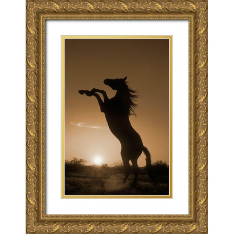 Rearing Horse Silhouette Gold Ornate Wood Framed Art Print with Double Matting by Dawson, Robert