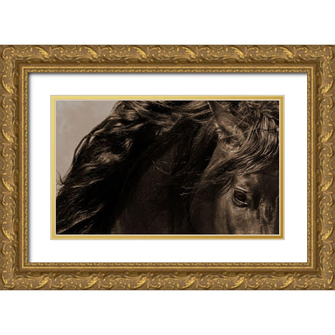 Sheraz Gold Ornate Wood Framed Art Print with Double Matting by Dawson, Robert