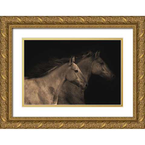 Young Mustangs Gold Ornate Wood Framed Art Print with Double Matting by Dawson, Robert