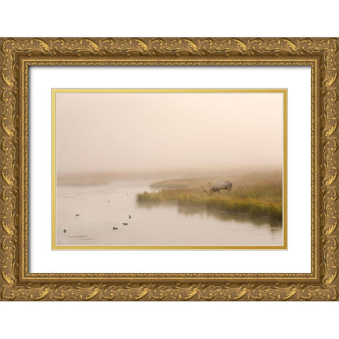Breakfast in Paridise Gold Ornate Wood Framed Art Print with Double Matting by Dawson, Robert