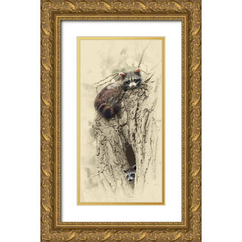 Mom And Baby Raccoon Gold Ornate Wood Framed Art Print with Double Matting by Brown, Jim