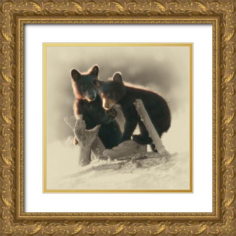 Morning Playtime Gold Ornate Wood Framed Art Print with Double Matting by Brown, Jim