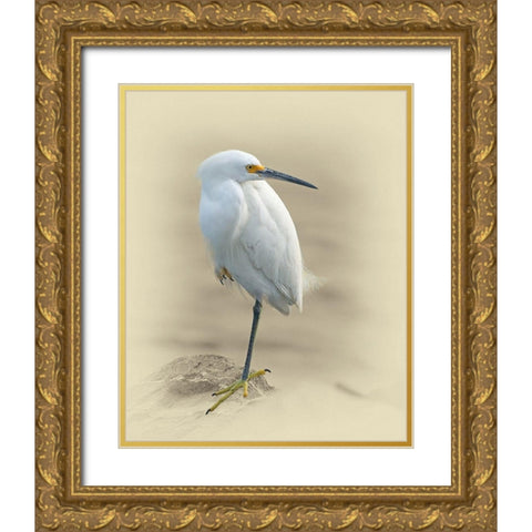Snowy Egret Gold Ornate Wood Framed Art Print with Double Matting by Brown, Jim