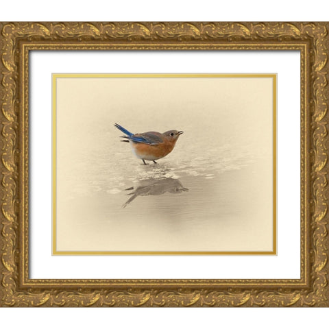 Blue Bird On Ice Gold Ornate Wood Framed Art Print with Double Matting by Brown, Jim
