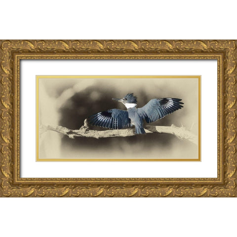 Kingfisher II Gold Ornate Wood Framed Art Print with Double Matting by Brown, Jim