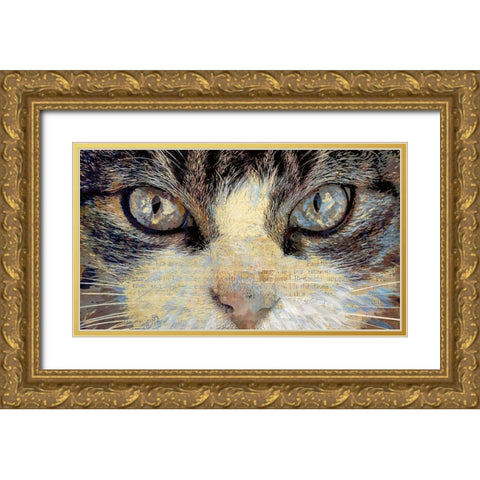 Cat Eyes Gold Ornate Wood Framed Art Print with Double Matting by Bolokofsky, Ronald