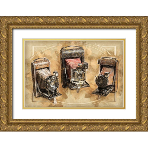 Retro Cameras Gold Ornate Wood Framed Art Print with Double Matting by Bolokofsky, Ronald