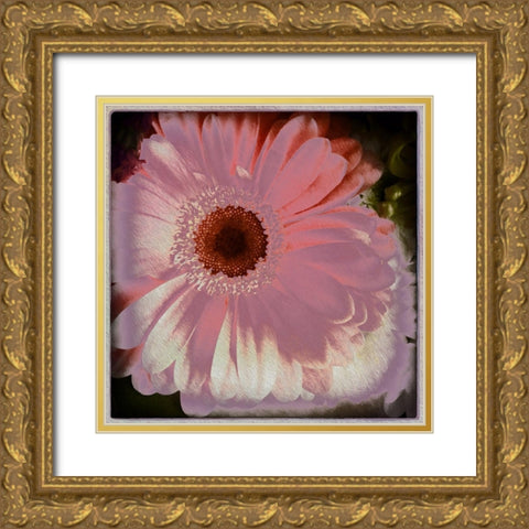Floral Pink Gold Ornate Wood Framed Art Print with Double Matting by Bolokofsky, Ronald