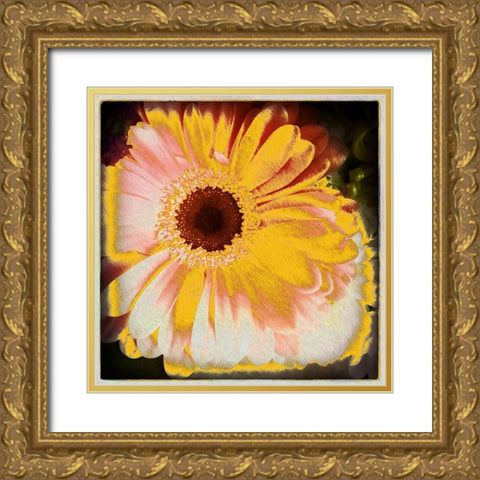 Floral Yellow Gold Ornate Wood Framed Art Print with Double Matting by Bolokofsky, Ronald