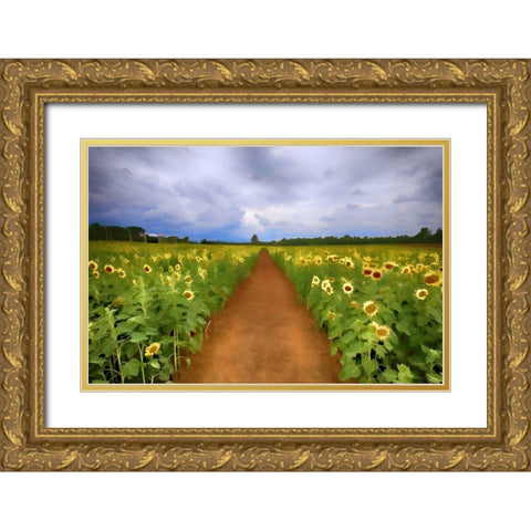 Sunflower Field Gold Ornate Wood Framed Art Print with Double Matting by Bolokofsky, Ronald