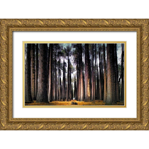 Into the Forest Gold Ornate Wood Framed Art Print with Double Matting by Bolokofsky, Ronald