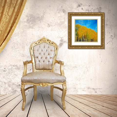 Aspens In Autumn  Gold Ornate Wood Framed Art Print with Double Matting by Bolokofsky, Ronald