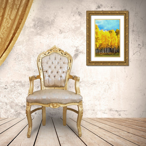 Autumn Gold Gold Ornate Wood Framed Art Print with Double Matting by Bolokofsky, Ronald