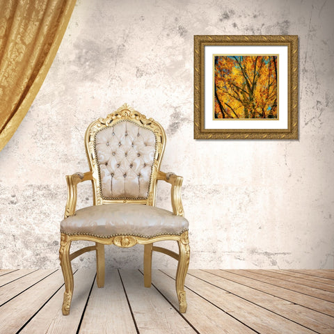 Autumn Leaves II Gold Ornate Wood Framed Art Print with Double Matting by Bolokofsky, Ronald