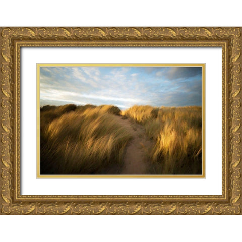 Grassy Dune Gold Ornate Wood Framed Art Print with Double Matting by Bolokofsky, Ronald
