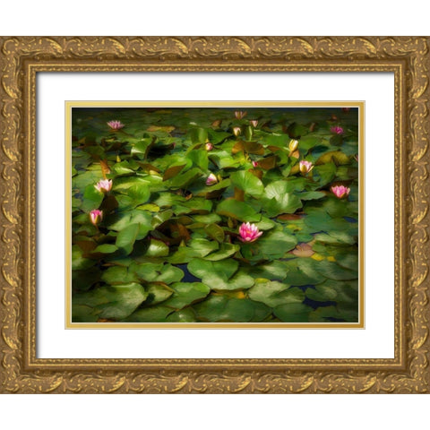 Lily Pads I Gold Ornate Wood Framed Art Print with Double Matting by Bolokofsky, Ronald