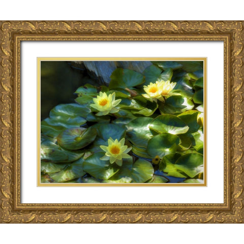 Lily Pads II Gold Ornate Wood Framed Art Print with Double Matting by Bolokofsky, Ronald