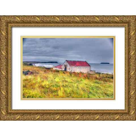 Oceanside Farmhouse Gold Ornate Wood Framed Art Print with Double Matting by Bolokofsky, Ronald