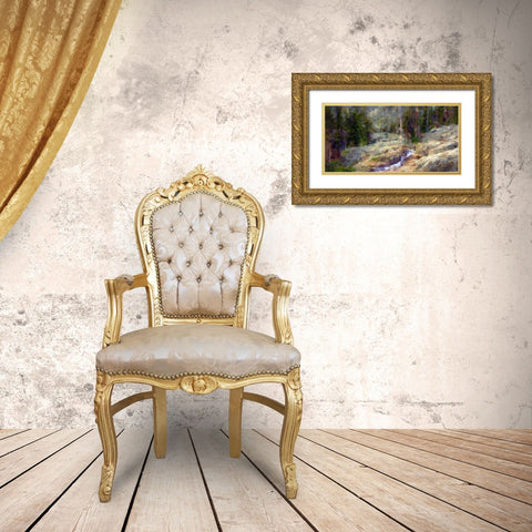 Shadow Creek Gold Ornate Wood Framed Art Print with Double Matting by Bolokofsky, Ronald