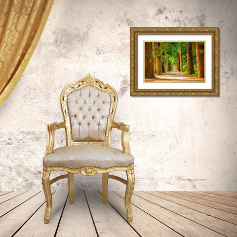 Shady Tree Lane III Gold Ornate Wood Framed Art Print with Double Matting by Bolokofsky, Ronald