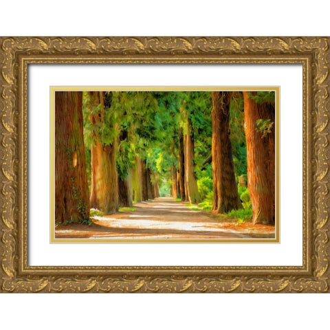 Shady Tree Lane III Gold Ornate Wood Framed Art Print with Double Matting by Bolokofsky, Ronald