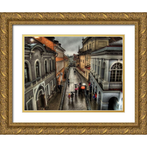 Rainy Streets of Vienna Gold Ornate Wood Framed Art Print with Double Matting by Bolokofsky, Ronald
