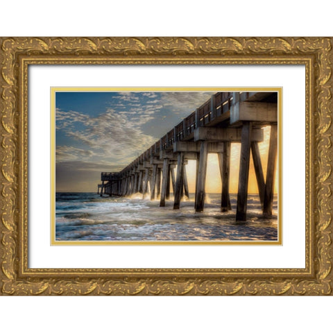 Florida Beach Pier Gold Ornate Wood Framed Art Print with Double Matting by Bolokofsky, Ronald