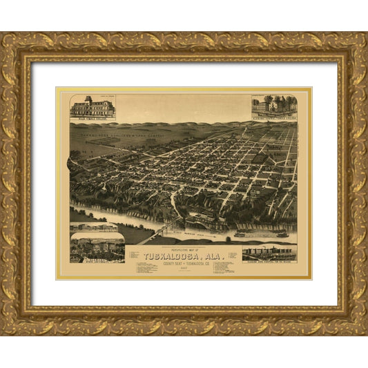 Perspective Image