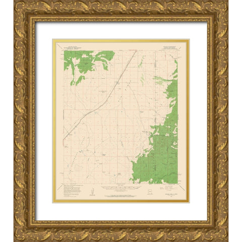 Apache Arizona Quad - USGS 1958 Gold Ornate Wood Framed Art Print with Double Matting by USGS