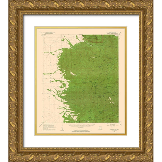 Perspective Image