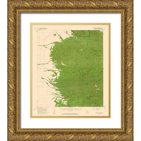 Chiricahua Peak Arizona Quad - USGS 1958 Gold Ornate Wood Framed Art Print with Double Matting by USGS