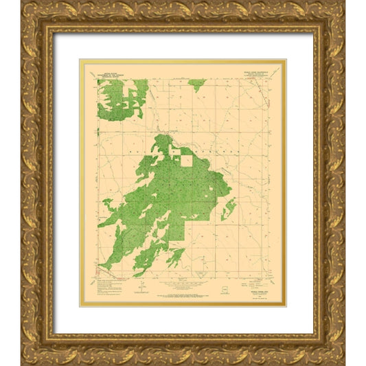Perspective Image