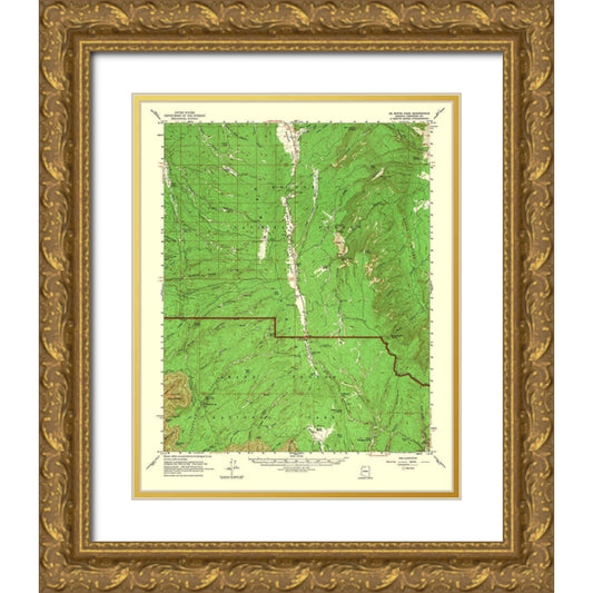 Perspective Image
