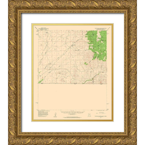 Guadalupe Canyon Arizona Quad - USGS 1958 Gold Ornate Wood Framed Art Print with Double Matting by USGS