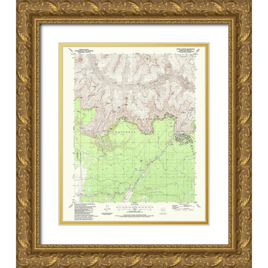 Perspective Image