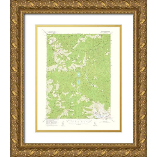 Perspective Image